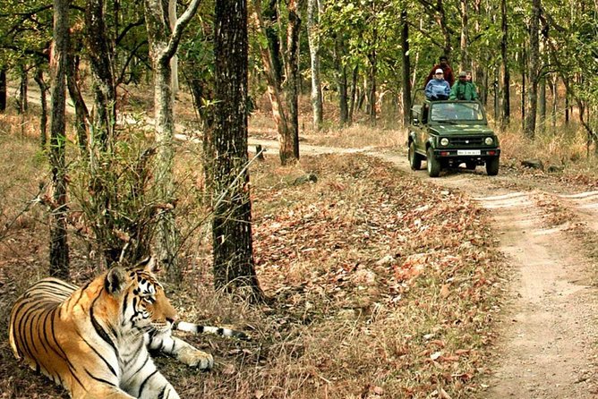 03 Days Private Wildlife Ranthambore Tiger Tour from Jaipur - Who should book this three-day tour?