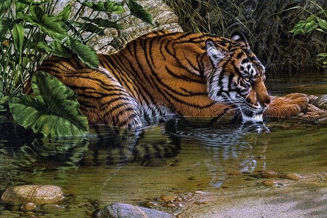 03 Days Private Wildlife Ranthambore Tiger Tour from Jaipur - Day two: the early canter safari