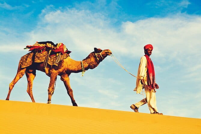 1-Night and 2-Days Thar Desert Safari Tour - Key points to know before booking