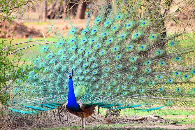 12-Days - Splendors of Golden Triangle & Rajasthan - Delhi begins with monuments and motion