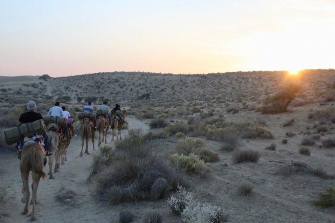 2 Days-1 Night Camel Tour - Meeting your camel and beginning the village route