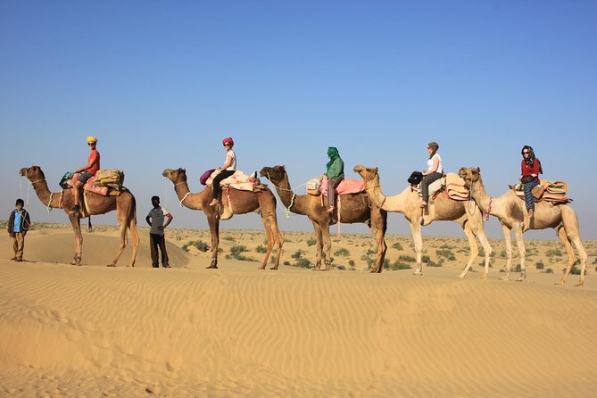 2 Days and 1 Night Camel Safari - Key points at a glance