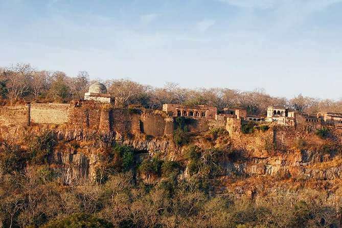 2 Days Ranthambore Tiger Safari with Tickets - Day one at the 10th-century Ranthambore Fort