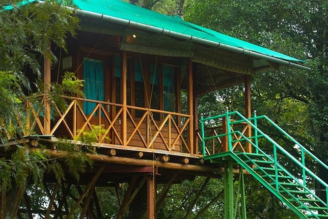 2 Nights Munnar Treehouse Escape with Private Car- Iris Holidays - Tea-making history at the Kannan Devan Tea Museum