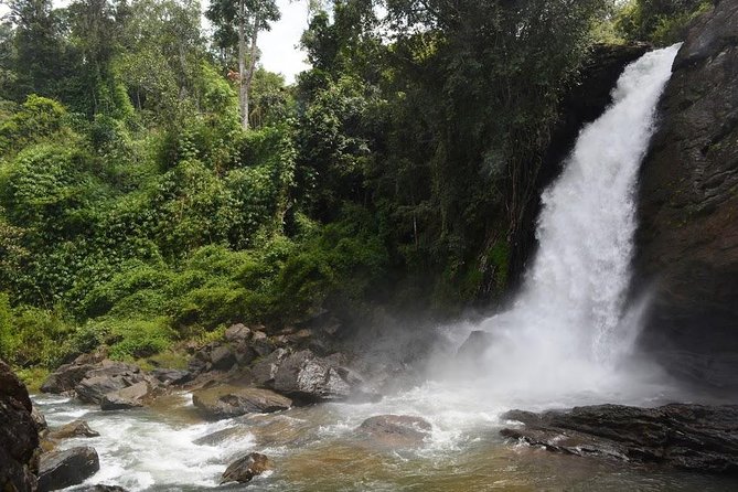 3-Day Wayanad Tour from Bangalore - What the $298 package includes, and what it leaves out