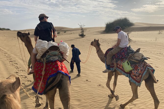 3 Days Tour in Wild Desert Safari - Key points at a glance