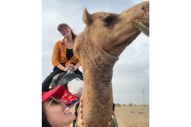 3 Days Tour in Wild Desert Safari - Food, water, and the practical side of desert camping