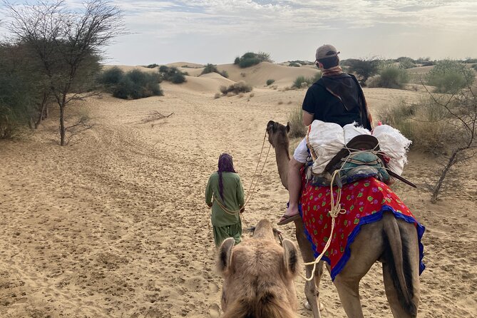 3 Days Tour in Wild Desert Safari - Day two: choose your own desert pace