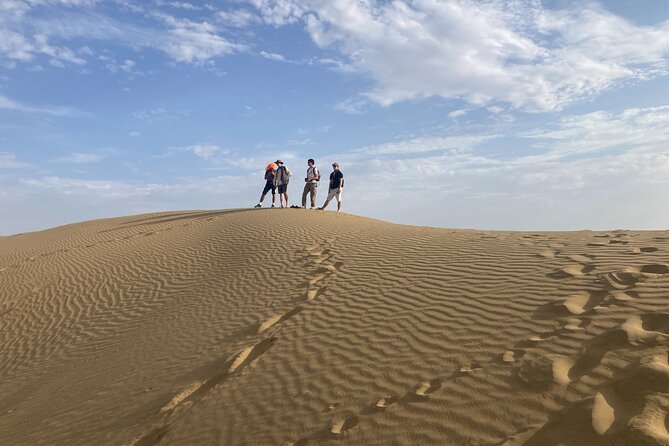 3 Days Tour in Wild Desert Safari - What the praise tells you about Wonbin Safari