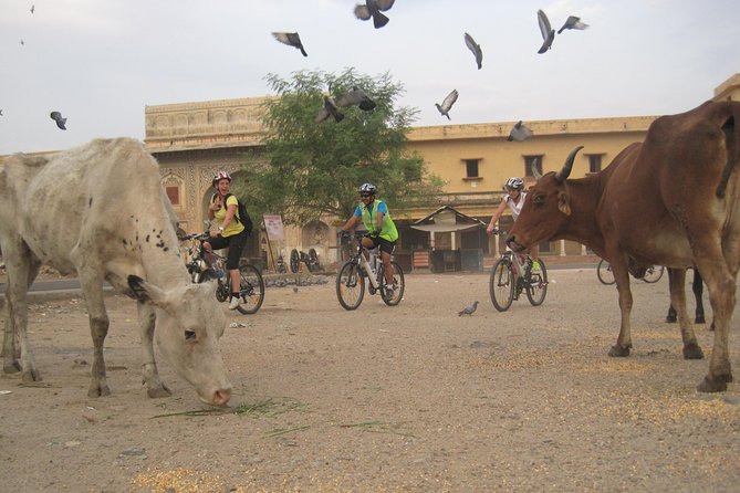 3-Hour Morning Bike Tour of Jaipur - Riding Through the Pink City