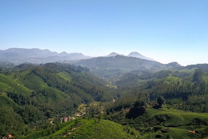3 Nights Private Tour with Exclusive Houseboat- Sanguine Holidays - Day 3: From Munnar to an overnight houseboat