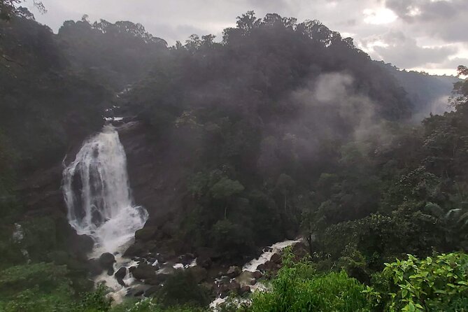 3 Nights Private Tour with Exclusive Houseboat- Sanguine Holidays - Day 2: Four Munnar sights, from picnic lakes to mountain wildlife