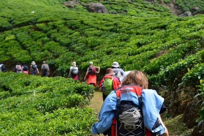 4 Days Best of Kerala Tour with Private Houseboat, Sightseeing & Car - Day 4: Fort Kochi’s streets and waterfront