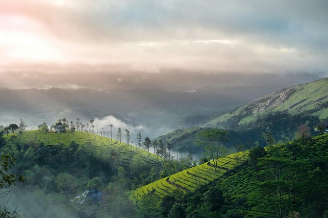4 Days Private Kerala Tour -Kochi, Munnar, Thekkady with 3<em> Hotel – Key points before you book’ /></p>
<ul>
<li><strong>Waterfall stops break up the Kochi to Munnar drive:</strong> Cheeyappara and Valara are short visits, but they add welcome scenery to a long road journey.</li>
<li><strong>Munnar gets the most attention:</strong> Tea plantations, the Tea Museum, Kundala Lake, Echo Point, Mattupetty Dam, gardens, and Eravikulam National Park fill two days.</li>
<li><strong>The private vehicle is the tour’s biggest practical advantage:</strong> Your group travels together without strangers, and the driver handles fuel, tolls, parking, and transfers.</li>
<li><strong>Thekkady adds wildlife and spice-country atmosphere:</strong> Periyar Lake and the wildlife sanctuary provide a change from Munnar’s tea hills.</li>
<li><strong>Important costs are outside the package:</strong> Entrance fees for the Government Botanical Garden and Eravikulam National Park are not included.</li>
<li><strong>The tour works best for first-time visitors:</strong> You see three major Kerala destinations without arranging separate hotels, transport, or airport transfers.</li>
</ul>
<h2 id="a-four-day-route-through-keralas-hill-country">A four-day route through Kerala’s hill country</h2>
<p><img width="669" height="446" decoding="async" src=