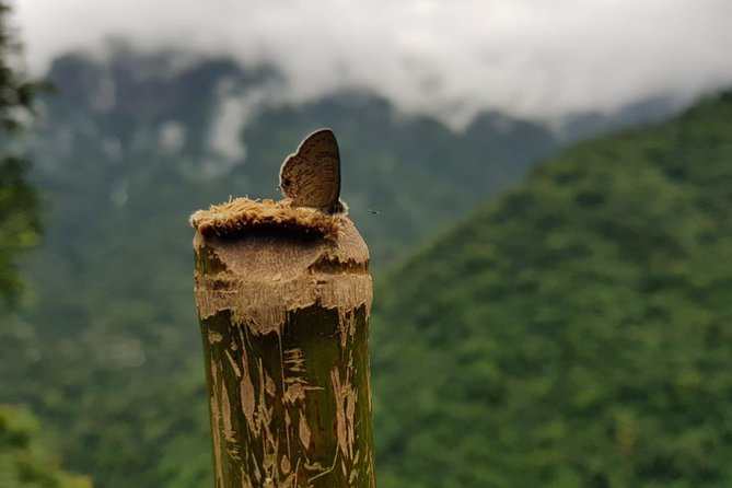 4D/3N Glimpse of Meghalaya - Key details before you book