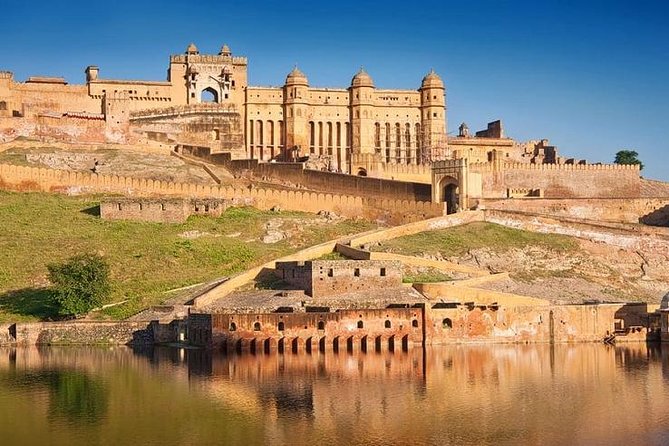 5-Day Private Delhi, Agra and Jaipur with Ranthambhore Tiger Tour From Delhi - Ranthambhore gives the tour a wild turn