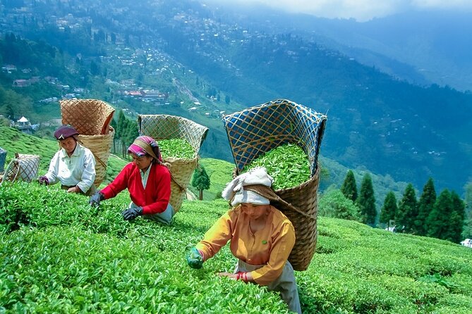 5-Day Private Tour of Gangtok and Darjeeling - The road from Gangtok to Darjeeling