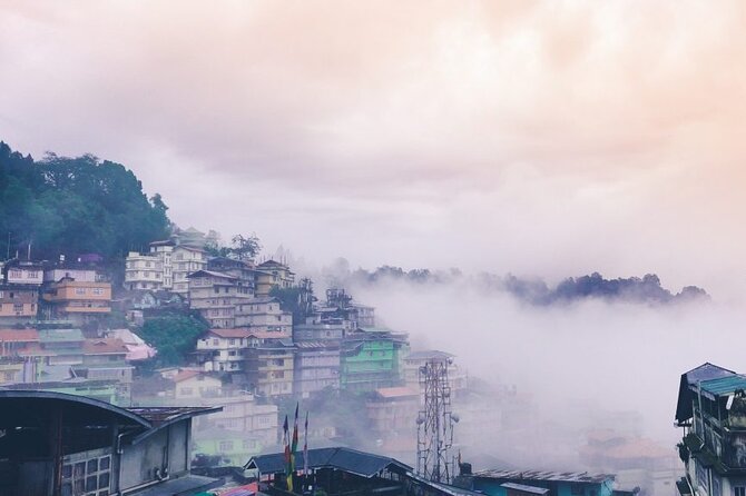 5-Day Private Tour of Gangtok and Darjeeling - Tibetan Refugee Self Help Center and the tea garden view