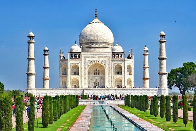 5 Day Private Tour of Tigers, Taj Mahal and Palaces from Cochin - Day four: two safari chances in Ranthambore