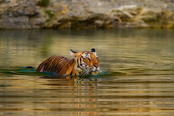 5 Day Private Tour of Tigers, Taj Mahal and Palaces from Cochin - Day two: Delhi monuments before the road to Agra