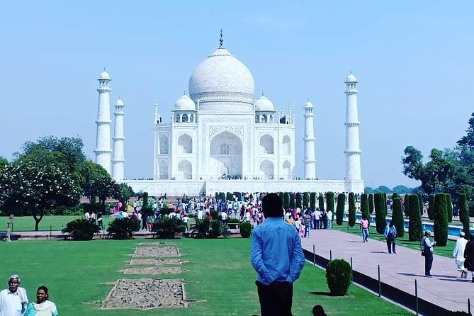 5 Days Golden Triangle Tour with Ranthambore Delhi Agra Jaipur - Day 3: Ranthambore brings wildlife into the Golden Triangle