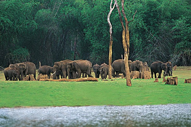 5 Days Kerala Tour Package With 4 Star Stays & Private Houseboat - Key points to know before booking