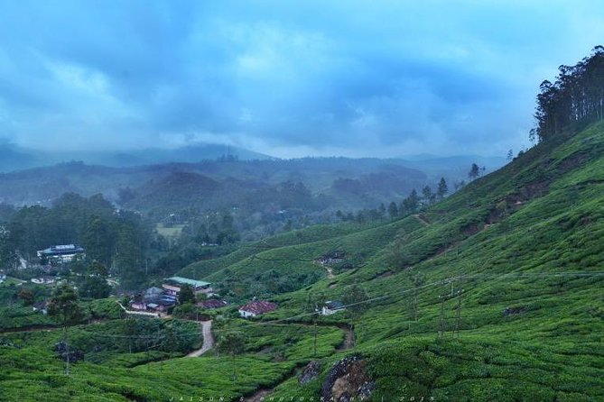 5 Days Kerala Tour Package With 4 Star Stays & Private Houseboat - Day 3: Spices, Periyar, and Kerala performance arts