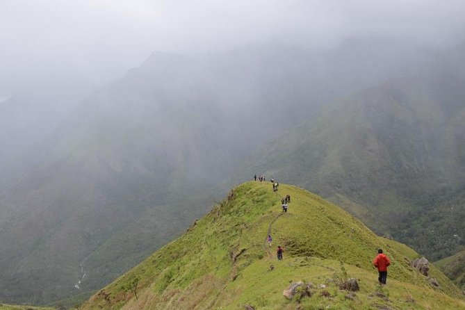 5 Days Kerala Tour Package With 4 Star Stays & Private Houseboat - Day 5: A flexible drop-off after breakfast