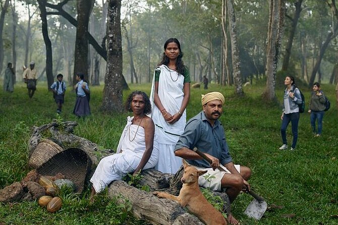 5 Days Kerala Tour with Private Car Houseboat Munnar and Thekkady - Key points worth knowing