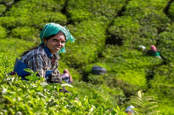 5 Days Kerala Tour with Private Car Houseboat Munnar and Thekkady - Why this route works for a first Kerala visit