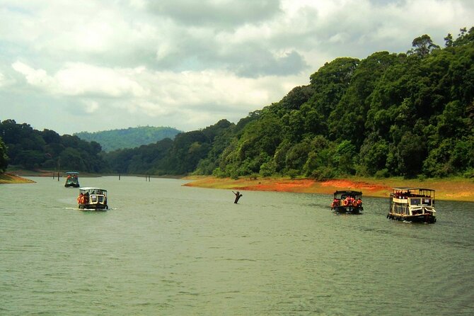 5 Days Kerala Tour with Private Car Houseboat Munnar and Thekkady - Driving, communication, and the private format