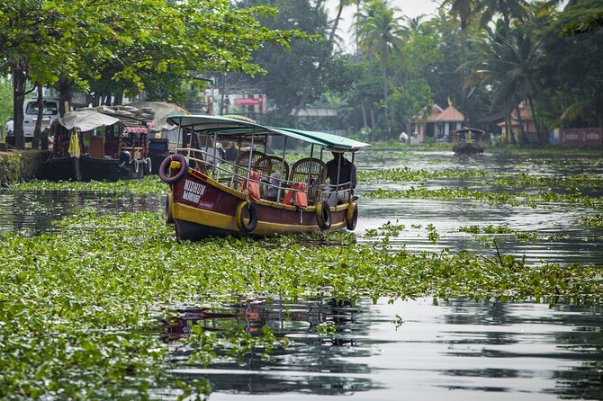 5 Days Kerala Tour with Private Car Houseboat Munnar and Thekkady - Day 2: Munnar’s dams, gardens, and tea story