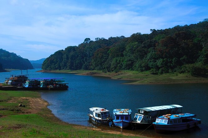5 Days Luxury Kerala Tour with Houseboat Experience - From Kochi to Munnar by waterfall road
