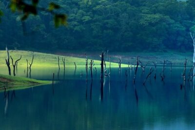 5 Days Luxury Kerala Tour with Houseboat Experience