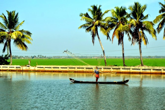 5 Days Private Kerala Tour Package by Saffron India Tours - Day 2: tea, dams, and Munnar’s high country