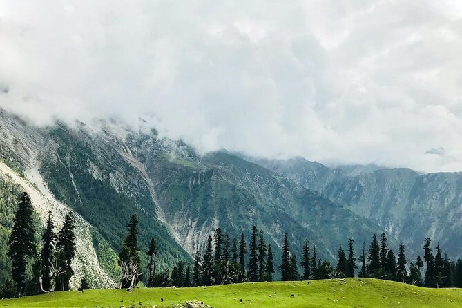 6 Days Private Tour in Kashmir Valley - Day 6: A simple airport departure