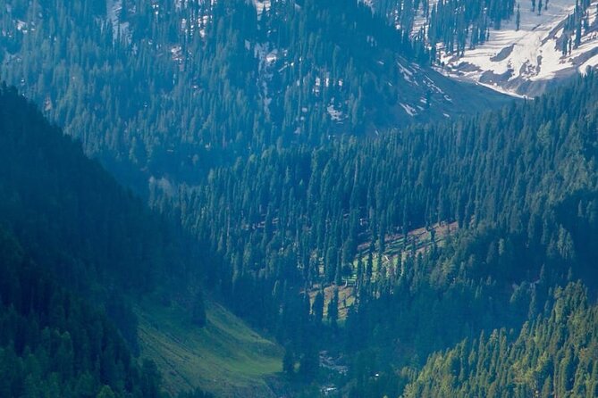 6 Days Private Tour in Kashmir Valley - Day 2: Saffron fields, temple ruins, and Baisaran