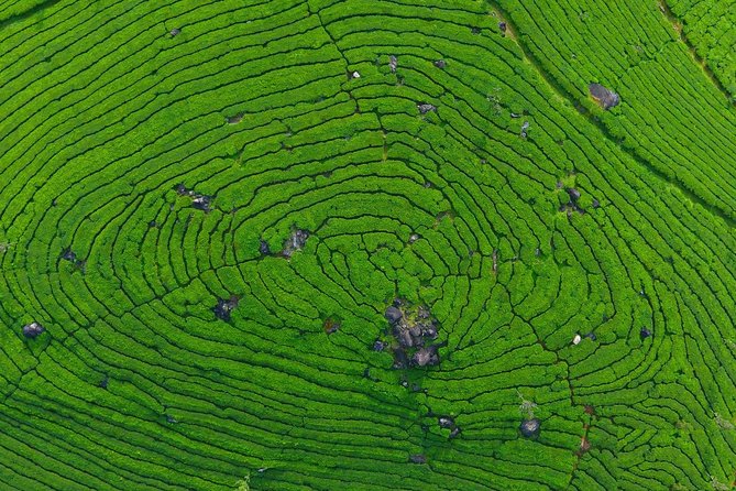 8 Days Kerala Private Tour (3 Star) with Munnar, Houseboat & Cab- Iris Holidays - Day 1: Kochi Airport to Munnar and the waterfall road