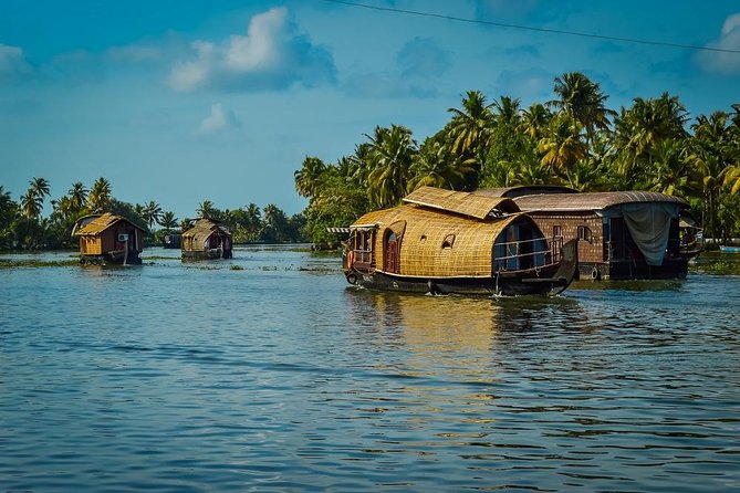 9 Days Private Exotic Kerala Tour - Day 3: Tea country around Munnar