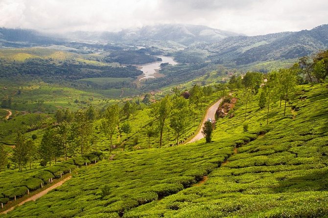 9 Days Private Exotic Kerala Tour - Day 2: Kochi’s Portuguese palace and Jewish Town