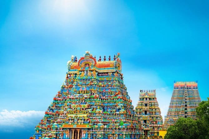 A Guided Cultural Immersion:Meenakshi Temple’s Night Ceremony - Is $29 per person good value?
