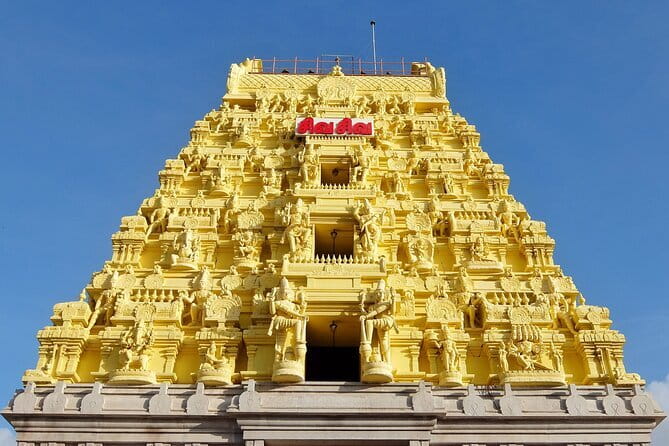 A Guided Cultural Immersion:Meenakshi Temple’s Night Ceremony - Practical advice for a respectful visit