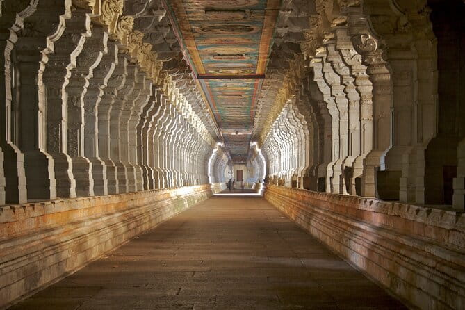 A Guided Cultural Immersion:Meenakshi Temple’s Night Ceremony - What you will learn about architecture and Tamil culture
