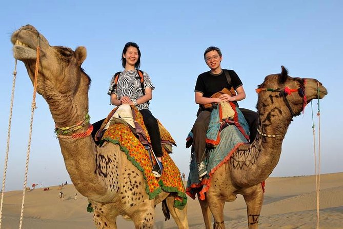 Adventure non touristic camel safari - Four details that define this desert night