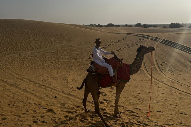 Adventure non touristic camel safari - What the $24.88 price really offers