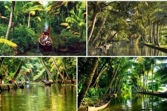 Alasr Lakeview Cruise /Hourly Trips to Backwater of Alleppey - Key points to know before booking