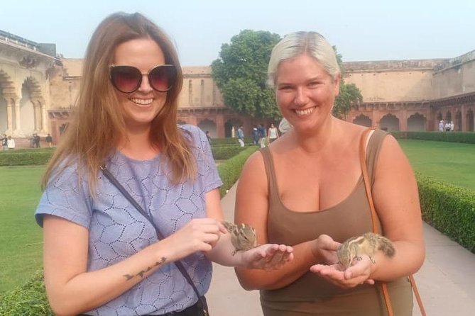 All Inclusive: Same day Taj Mahal Tour From Delhi - A private Delhi to Agra day with one big road trip