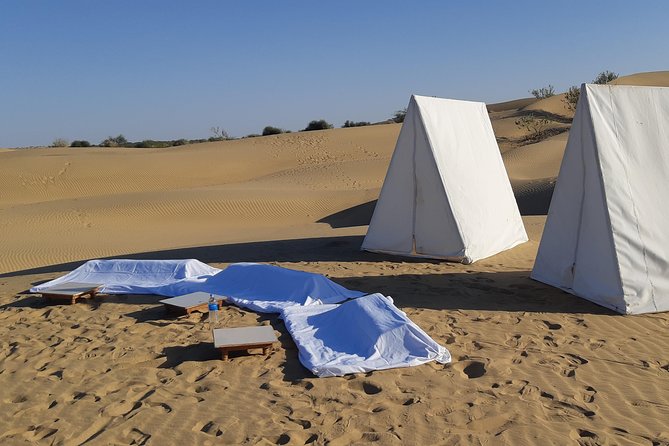 Amazing Overnight experience under the stars in Thar Desert - A camel safari into the desert