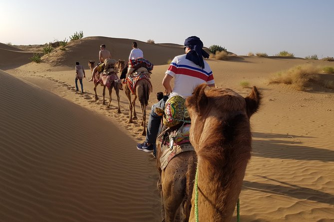 An Overnight Non-touristic Camel Safari (2PM to 11:30 AM Next Day) - Khaba Fort and the quieter route