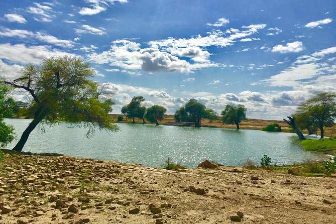 An Overnight Non-touristic Camel Safari (2PM to 11:30 AM Next Day) - Dinner, chai, and a bed beneath the stars
